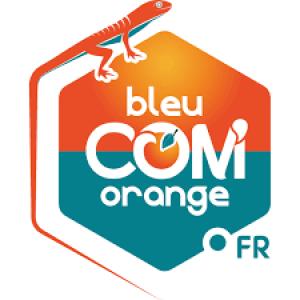 Bleu Com Orange